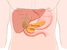Pancreatic cancer basic