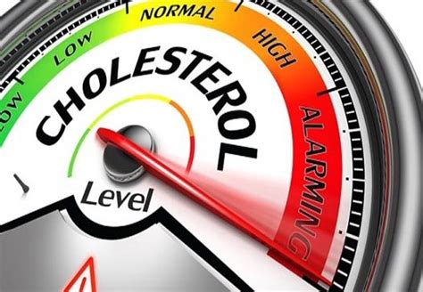 cholesterol