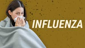 Flu - influenza